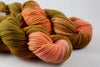 Malabrigo Variegated