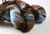 Malabrigo Variegated